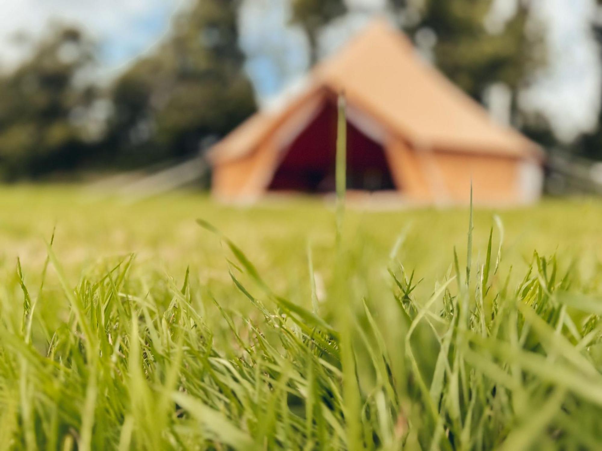 Fully Furnished Bell Tent 3 Carlyon Bay Exteriör bild